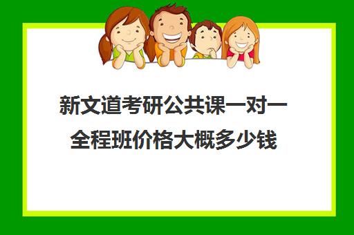 新文道考研公共课一对一全程班价格大概多少钱（一对一好还是班课好）