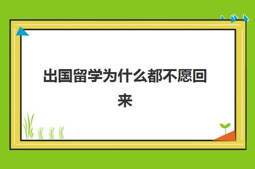 出国留学为什么都不愿回来(出国留学有什么好)