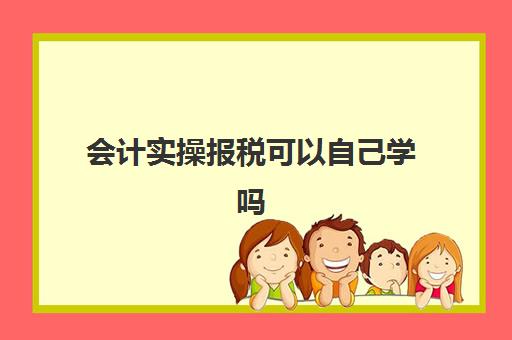 会计实操报税可以自己学吗(初级会计可以报税吗)