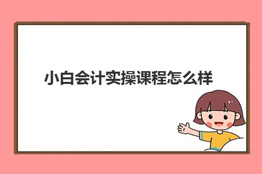 小白会计实操课程怎么样(小白可以学会计吗)