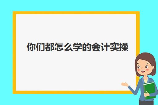 你们都怎么学的会计实操(初学者如何学会计)