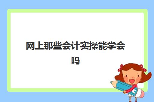 网上那些会计实操能学会吗(学会计是去培训班还是网上)