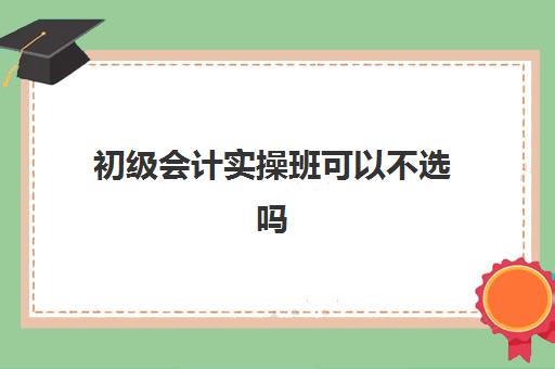 初级会计实操班可以不选吗(临平会计培训班哪个机构好)