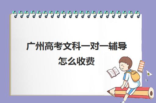 广州高考文科一对一辅导怎么收费(学而思有一对一辅导吗)