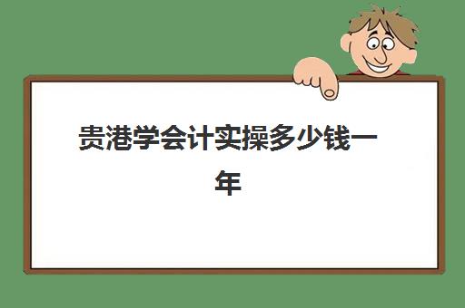 贵港学会计实操多少钱一年(大专学会计出来能干嘛)