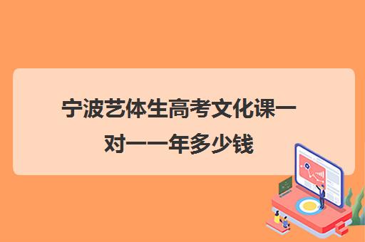 宁波艺体生高考文化课一对一一年多少钱(宁波一对一辅导哪里好)