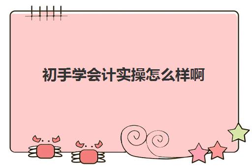 初手学会计实操怎么样啊(小白学会计难吗)