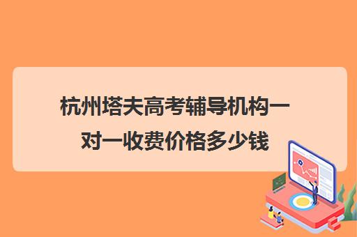 杭州塔夫高考辅导机构一对一收费价格多少钱（初中一对一辅导哪个好）