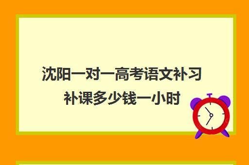 沈阳一对一高考语文补习补课多少钱一小时