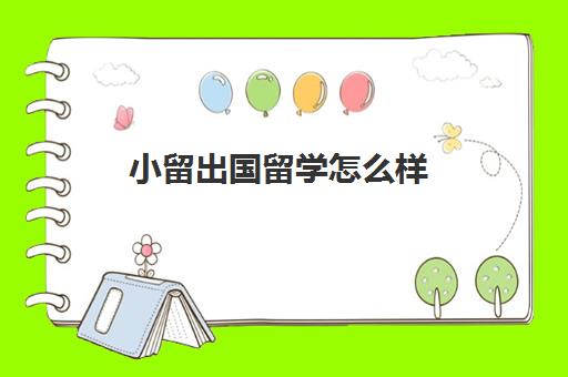 小留出国留学怎么样(出国留学哪里比较便宜)