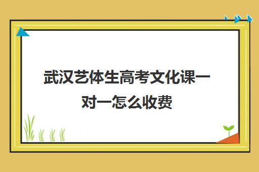 武汉艺体生高考文化课一对一怎么收费(武汉高中一对一辅导机构哪家好)