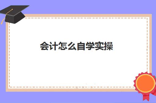 会计怎么自学实操(一个新手如何自学会计)