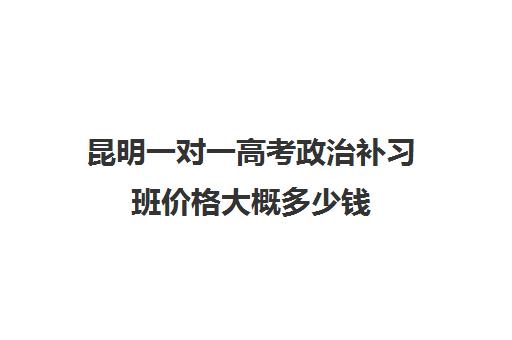 昆明一对一高考政治补习班价格大概多少钱