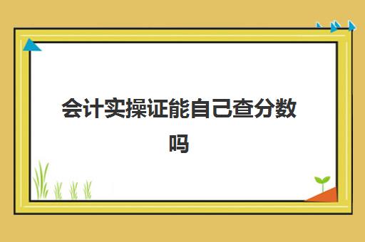 会计实操证能自己查分数吗(会计技能证书什么时候出成绩)