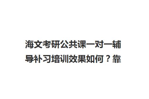 海文考研公共课一对一辅导补习培训效果如何？靠谱吗