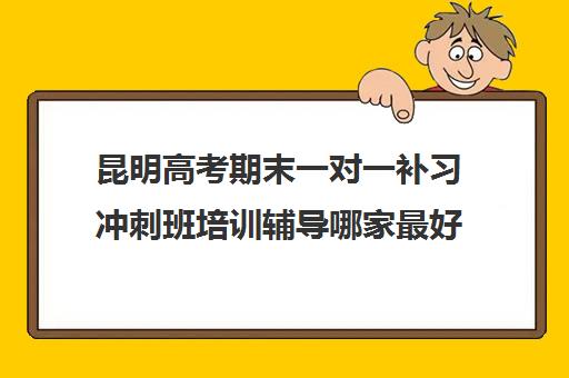 昆明高考期末一对一补习冲刺班培训辅导哪家最好