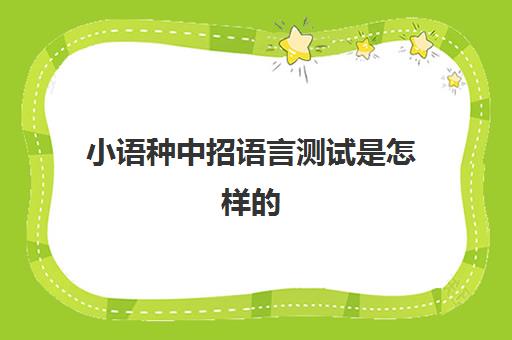 小语种中招语言测试是怎样的(小语种哪个最容易学)