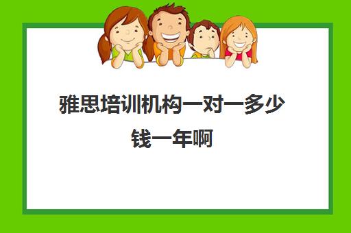 雅思培训机构一对一多少钱一年啊(一对一雅思辅导哪个好)