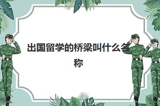 出国留学的桥梁叫什么名称(桥梁各个部位名称及图片)