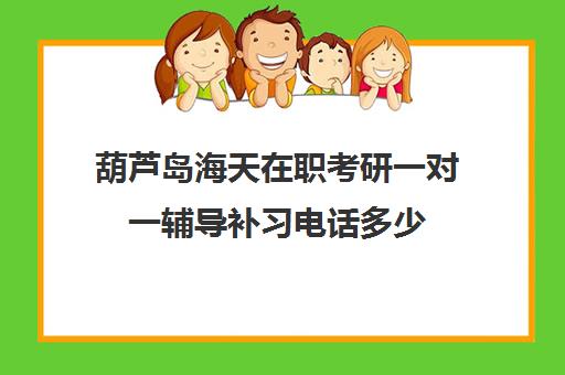 葫芦岛海天在职考研一对一辅导补习电话多少