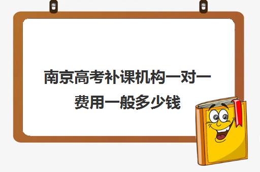 南京高考补课机构一对一费用一般多少钱(一对一补课多少钱)