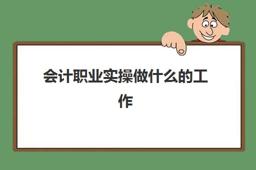 会计职业实操做什么工作(会计职业入门需要哪些基本专业技能)