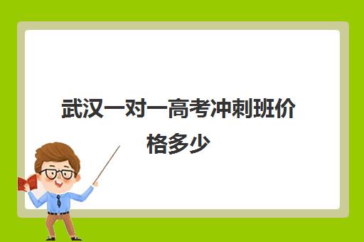 武汉一对一高考冲刺班价格多少(武汉高中家教一对一价格每小时)