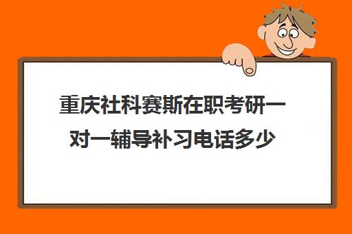 重庆社科赛斯在职考研一对一辅导补习电话多少