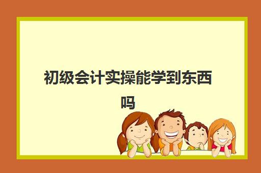 初级会计实操能学到东西吗(哪些人不适合学会计)