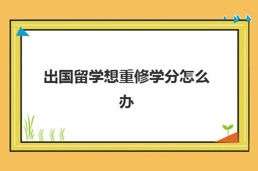 出国留学想重修学分怎么办(挂科会影响出国留学吗)