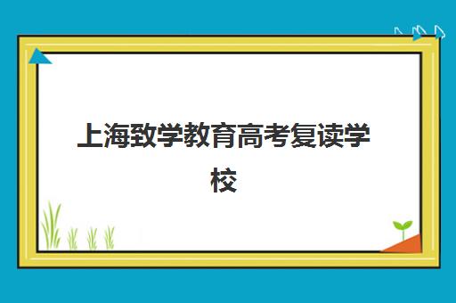 上海致学教育高考复读学校(上海高复班学校排名榜)