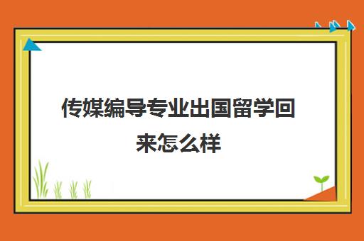 传媒编导专业出国留学回来怎么样(编导专业有必要出国吗)