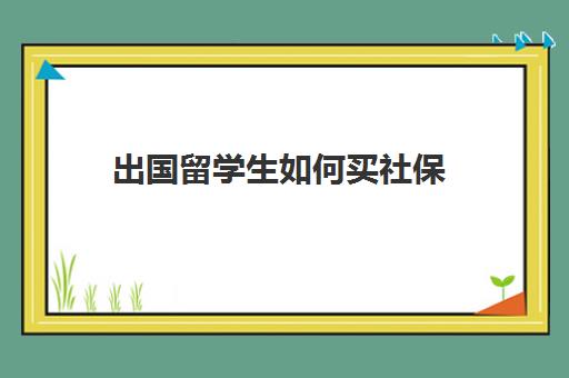 出国留学生如何买社保(外国人可以在中国交社保么)