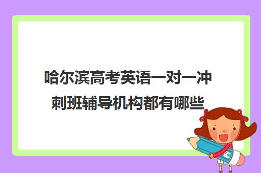 哈尔滨高考英语一对一冲刺班辅导机构都有哪些(哈尔滨高三辅导冲刺班谁家好)