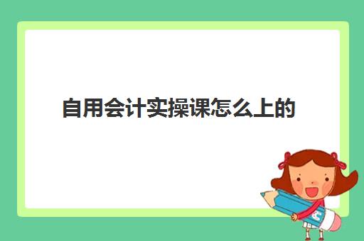 自用会计实操课怎么上的(会计模拟实训教程)