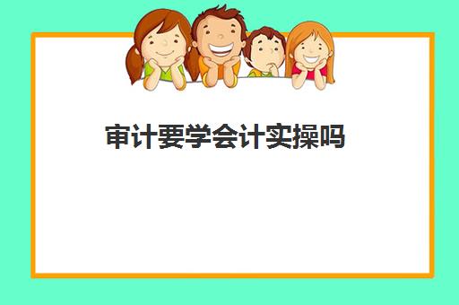 审计要学会计实操吗(审计可以做会计的工作吗)