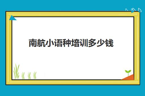 南航小语种培训多少钱(学小语种一般要多少钱)