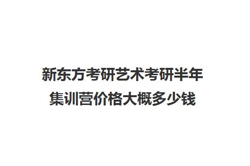 新东方考研艺术考研半年集训营价格大概多少钱（新东方考研班一般多少钱）