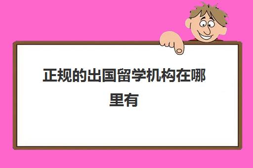 正规出国留学机构在哪里有(去哪里留学性价比高)