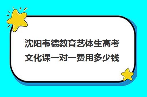 沈阳韦德教育艺体生高考文化课一对一费用多少钱(沈阳高中一对一补课价格)