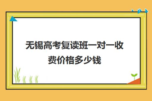 无锡高考复读班一对一收费价格多少钱(复读学校学费一般多少)