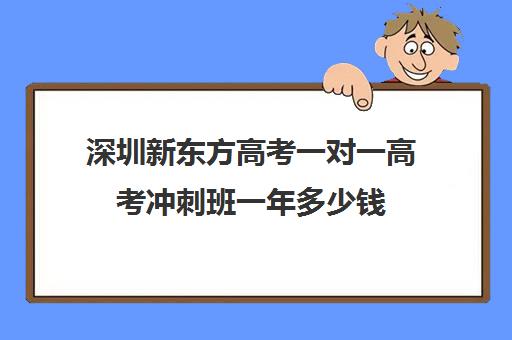 深圳新东方高考一对一高考冲刺班一年多少钱(深圳市新东方培训学校)