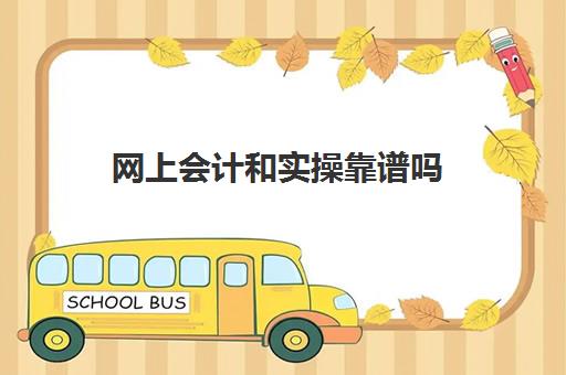 网上会计和实操靠谱吗(网上学会计哪个平台好)
