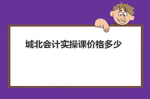 城北会计实操课价格多少(常州会计培训)