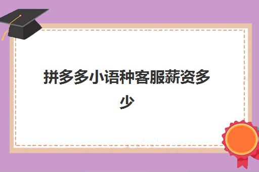 拼多多小语种客服薪资多少(拼多多客服应聘)
