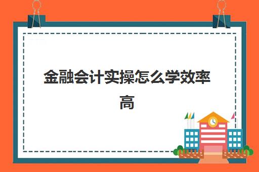 金融会计实操怎么学效率高(学金融能干会计吗)