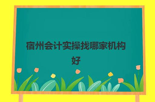 宿州会计实操找哪家机构好(宿州私企建筑会计怎么样啊)
