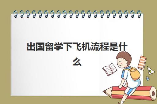出国留学下飞机流程是什么(出国的流程以及手续办理)