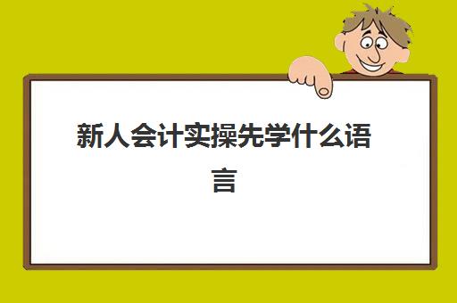 新人会计实操先学什么语言(会计怎么学快速入门)