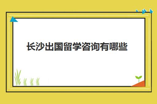 长沙出国留学咨询有哪些(湖南大学出国留学项目)